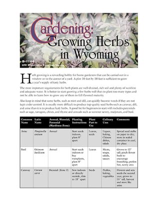 Growing-Herbs-in-Wyoming-500h