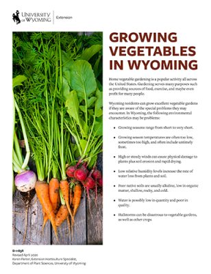 Growing-Vegetables-in-Wyoming-500h