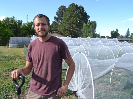 Man standing in front of covered gardens