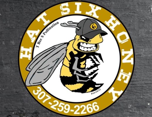 Hat Six Honey logo