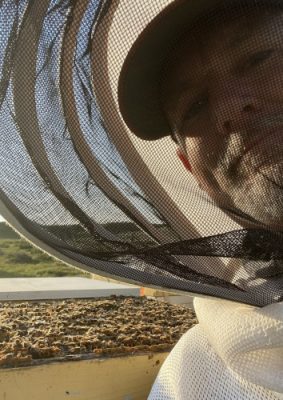 Man working with bees