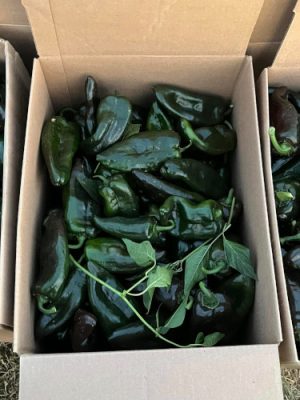 Box of peppers