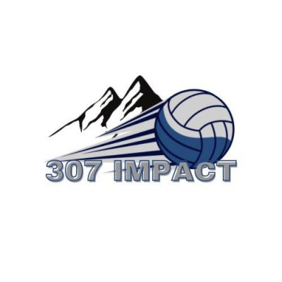 Impact-307-500h