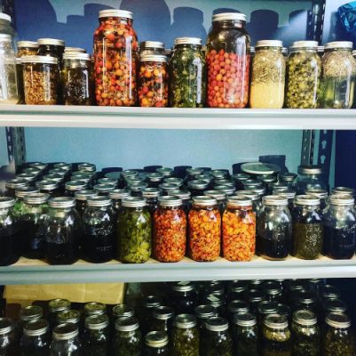 Jars of medicinal herbs