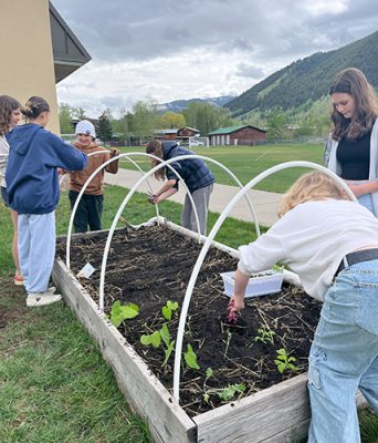 Students working in raised beds