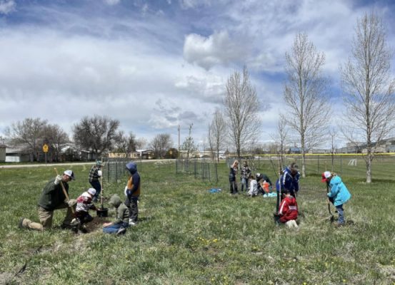 People planting trees