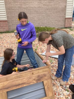 Students working in a garden