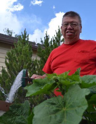 Volunteer Gene Johnson waters vegetables, fruits, and herbs at the LaBonte Park Community Garden, one of several community, school, and church gardens in Laramie.