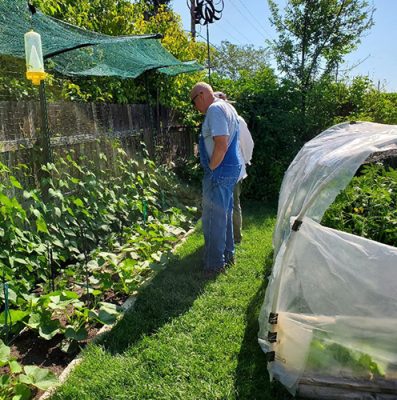 Garden with covered beds