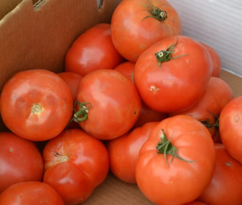 Red tomatoes