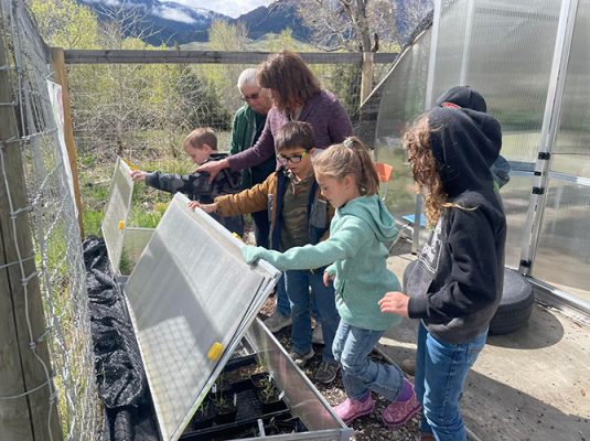 Students looking into a cold frame