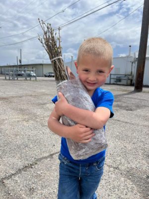 Boy hugging tree seedlings