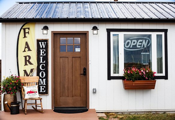Lucky Buffalo Stand Store