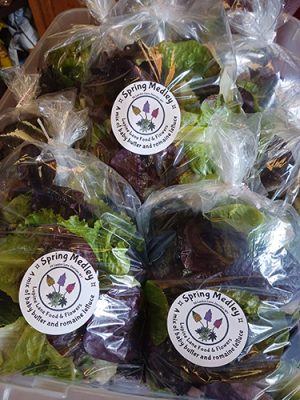 Bags of salad greens