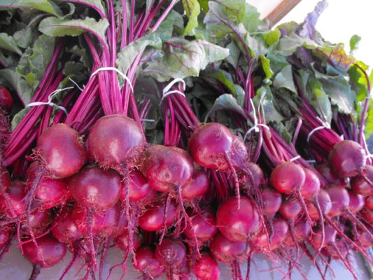 Purple beets