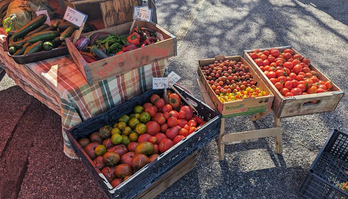 Fresh tomatoes in boxes