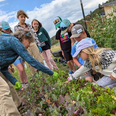 Adults and children working in a garden