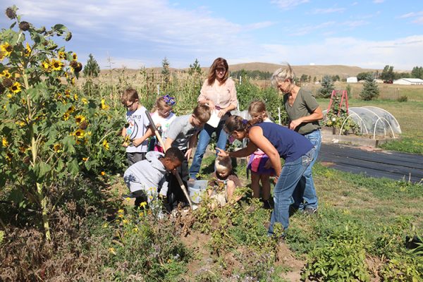 People working in a garden