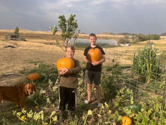 Two boys holding pumpkins