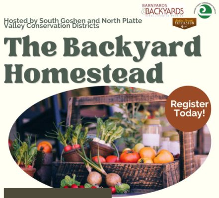 The Backyard Homestead magazine cover