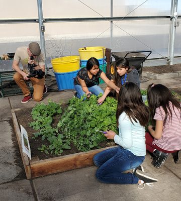 Students working in a garden