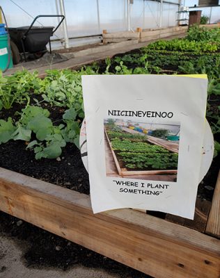 Learning flyer in front of garden