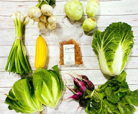 Onions, squash, beets, lettuce on a table