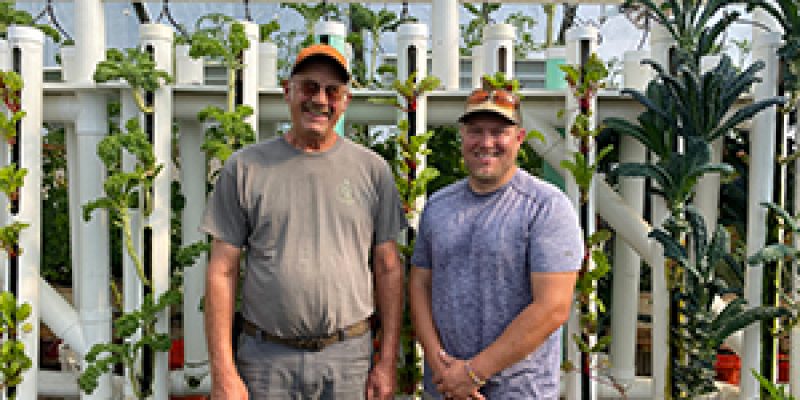 Two men in hydroponic greenhouse