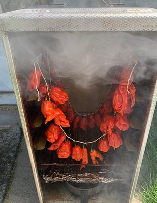 Hot chilis being smoked