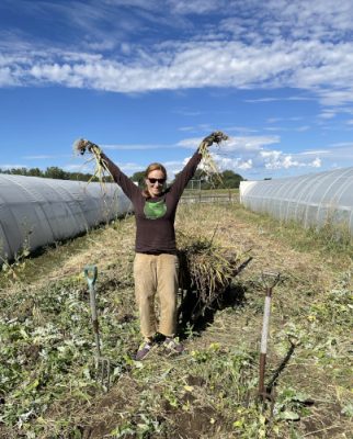 Woman harvesting garlic