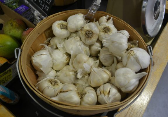 Basket of garlic
