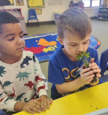 Children sitting at a table and smelling plants.