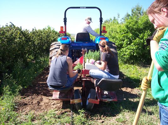 Two girls sitting on back of tractor planting trees.