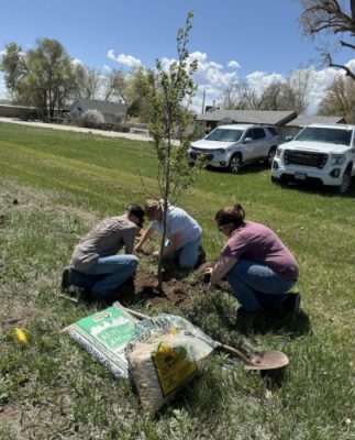 People planting trees