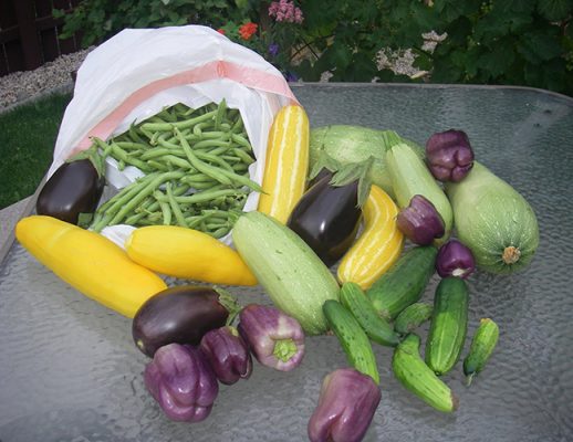 Fresh garden produce