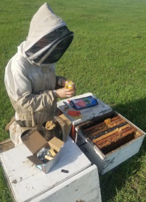 Woman working with bees
