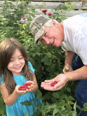Smiling man and little girl holding raspberries.