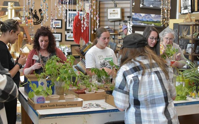 People potting plants