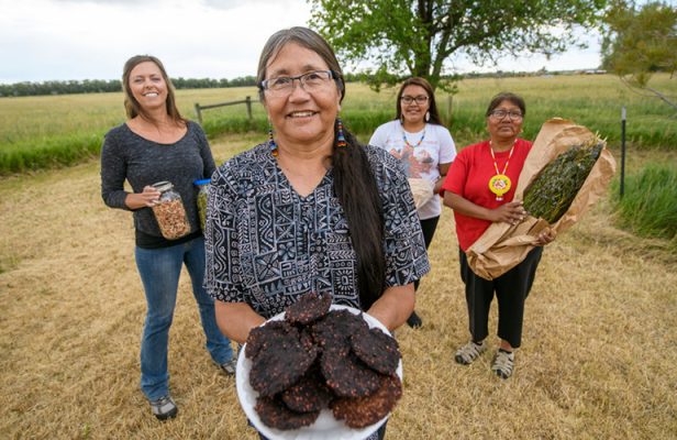 Restoring-Shoshone-Ancestral-Food-Gathering-500h Group of women displaying ancestral food.