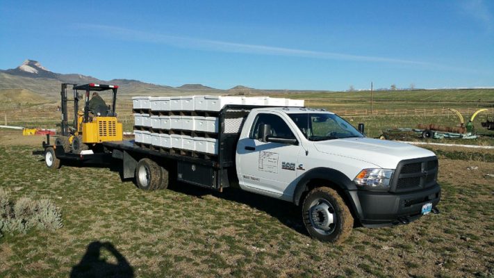 Loading honey boxes on a truck
