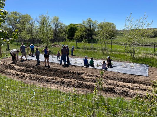 People working in a garden