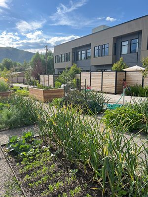 Garden beside a building