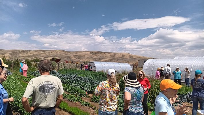 People working in a garden
