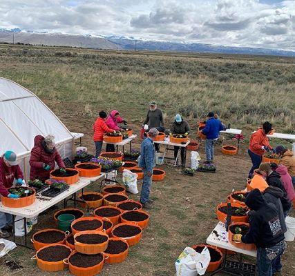 Garden Club potting party