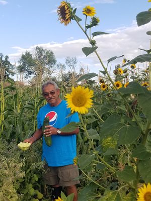 Man with sunflowers
