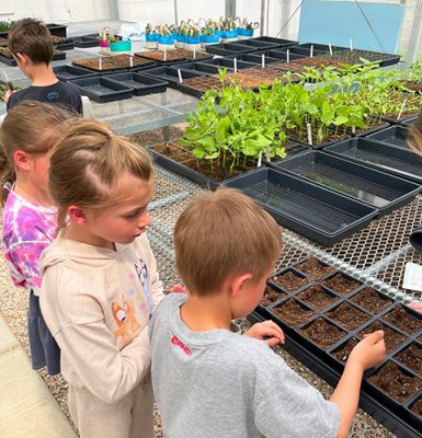 Kids planting seeds