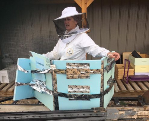 Beekeeper teaching about bees