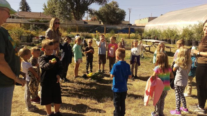Children looking at a garden