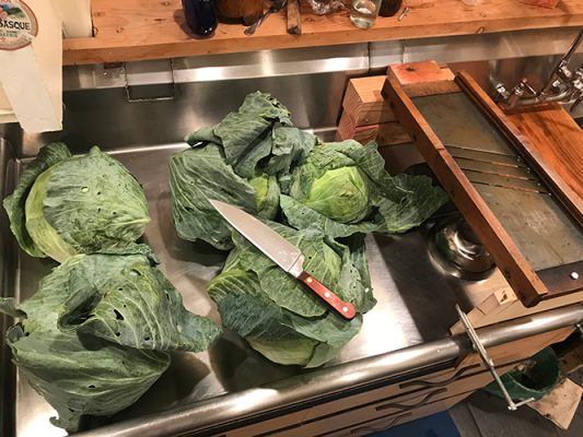 Cabbages