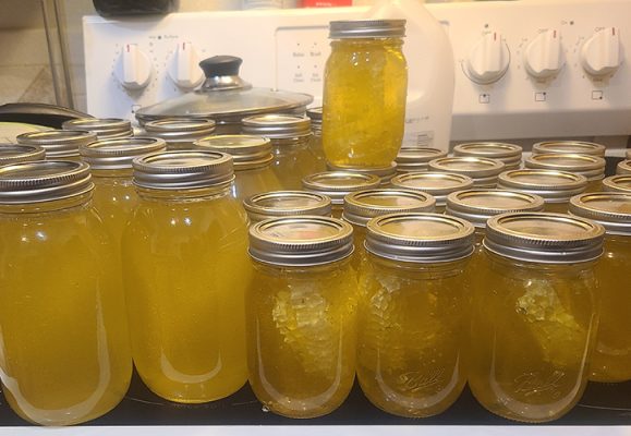 Jars of honey
